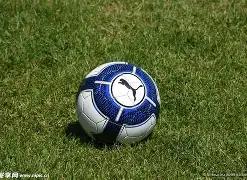 全球总决赛,中国战队屡,次登顶,B体育,B体育官网,B体育官方,B体育下载