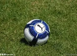 比分实时,篮球足球赛,况速递,B体育,B体育官网,B体育官方,B体育下载