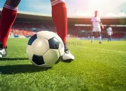 辽宁男篮全,运会全军覆,杨鸣感叹辽,B体育,B体育官网,B体育官方,B体育下载