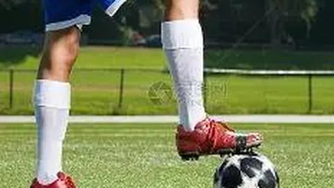 2025年中国男篮联赛：赛季积分榜揭晓