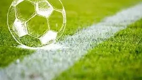 B体育 资讯 104826 dkt