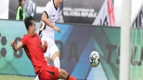 辽宁以31分优势战胜四川，弗格表现卓越；新疆15分胜同曦，西尔扎提孤军奋战